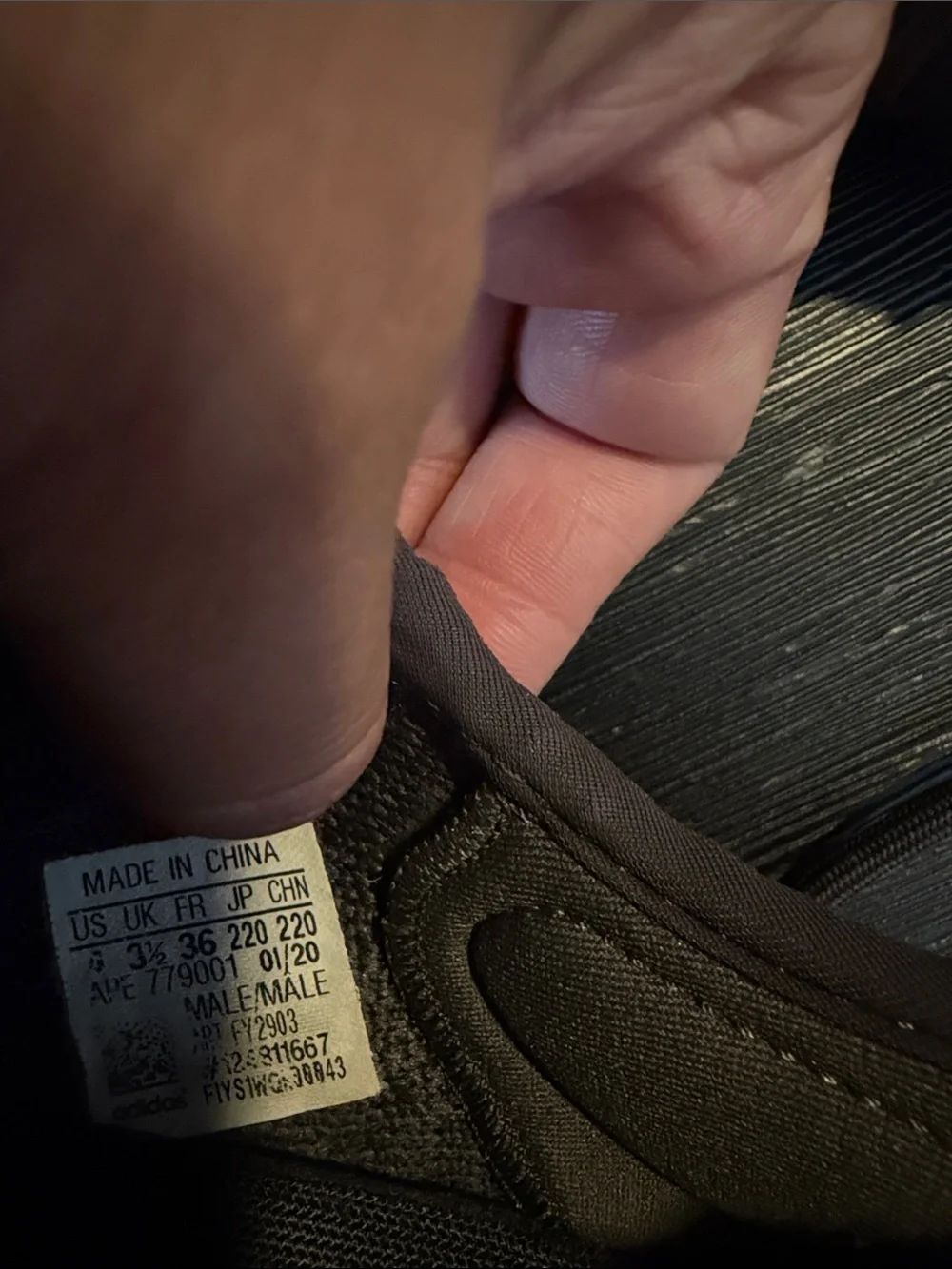 Yeezy please see